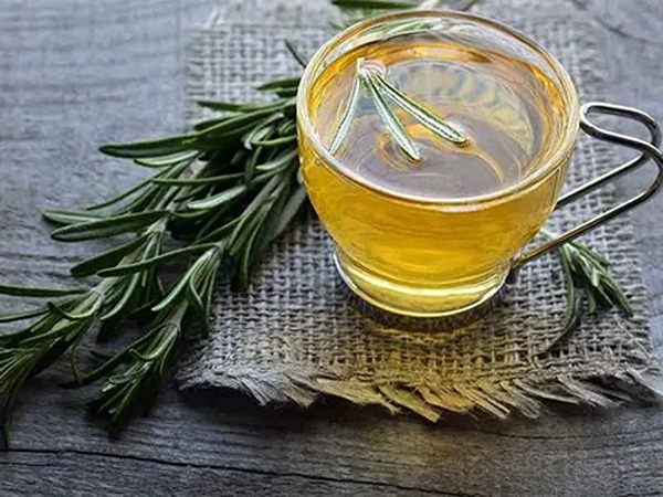 قیمت شربت گیاهی رزماری با کیفیت ارزان + خرید عمده